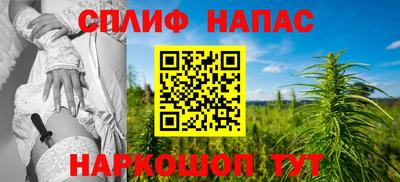 ешки Бийск