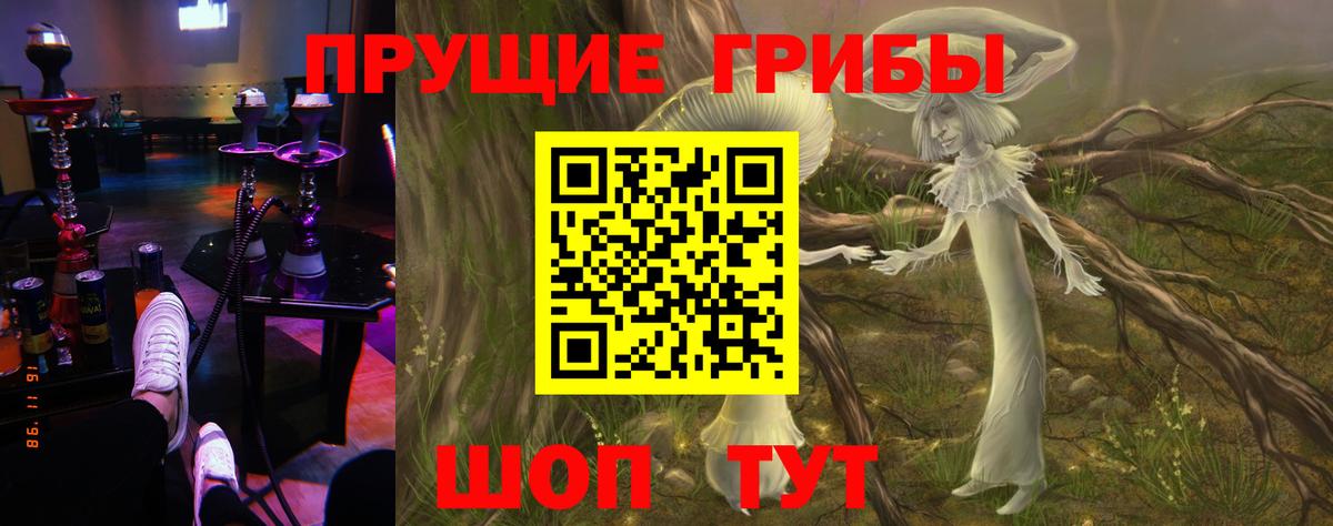 Псилоцибиновые грибы прущие грибы Киров