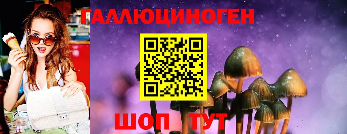 Киров  Галлюциногенные грибы GOLDEN TEACHER  Галлюциногенные грибы ЛСД  Вход с VPN 